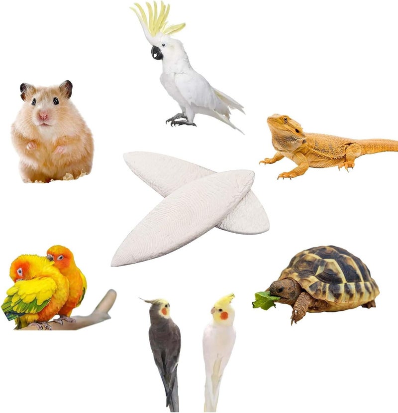 HEQU 6 Pcs Natural Cuttlebone Parakeets Pure Cuttlebone Calcium Stone for Tortoise Parakeets Canaries Cockatiels Turtles Cockatiel 9.5-10.4cm/3.7-4 inch - Image 3